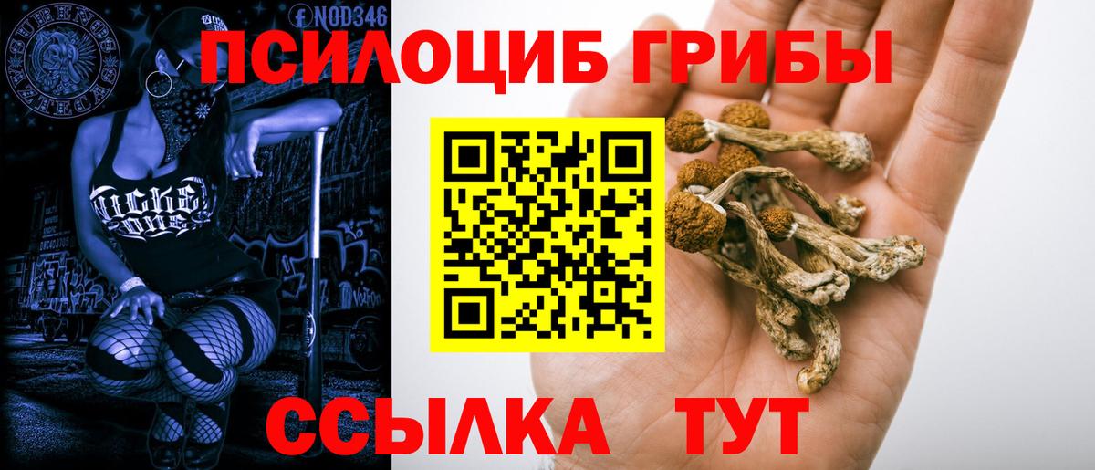 Псилоцибиновые грибы GOLDEN TEACHER Конаково
