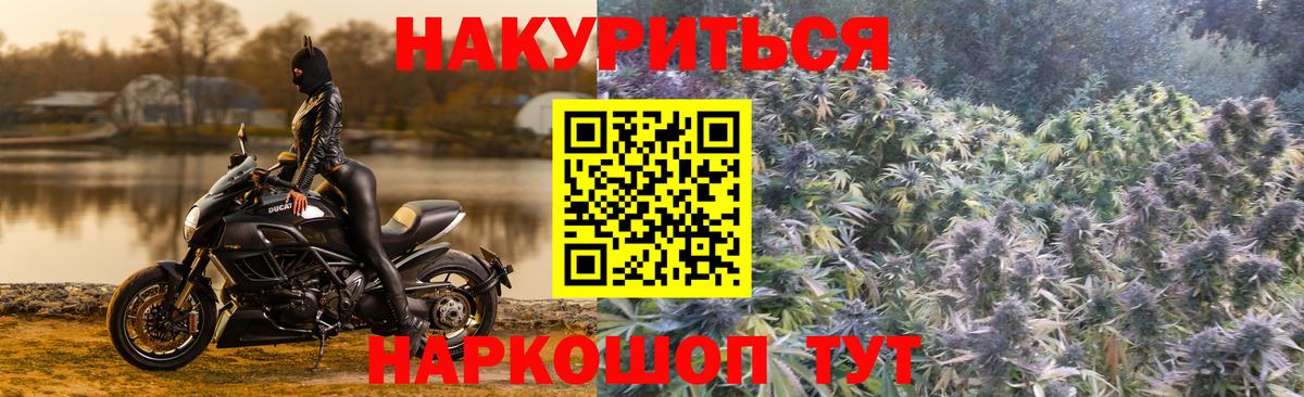 Шишки марихуана марихуана Конаково